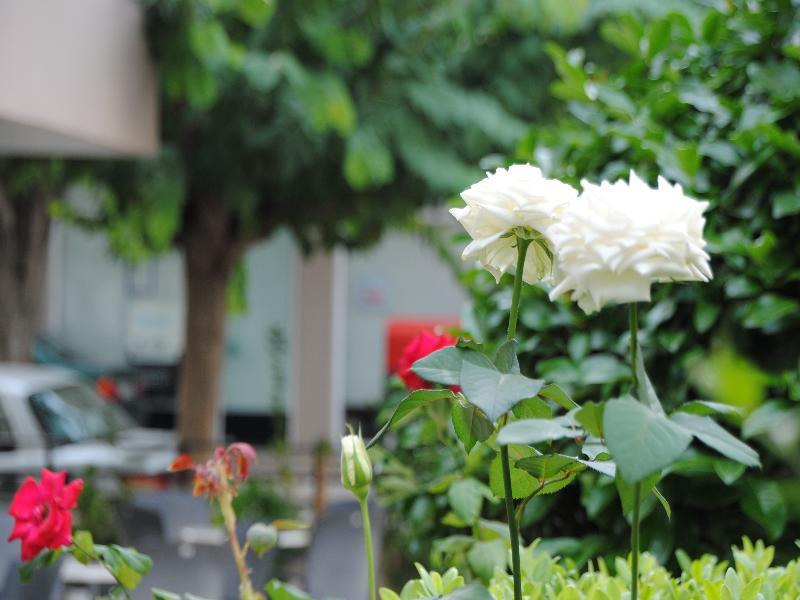 Yiorgos Hotel Κως Πόλη Εξωτερικό φωτογραφία